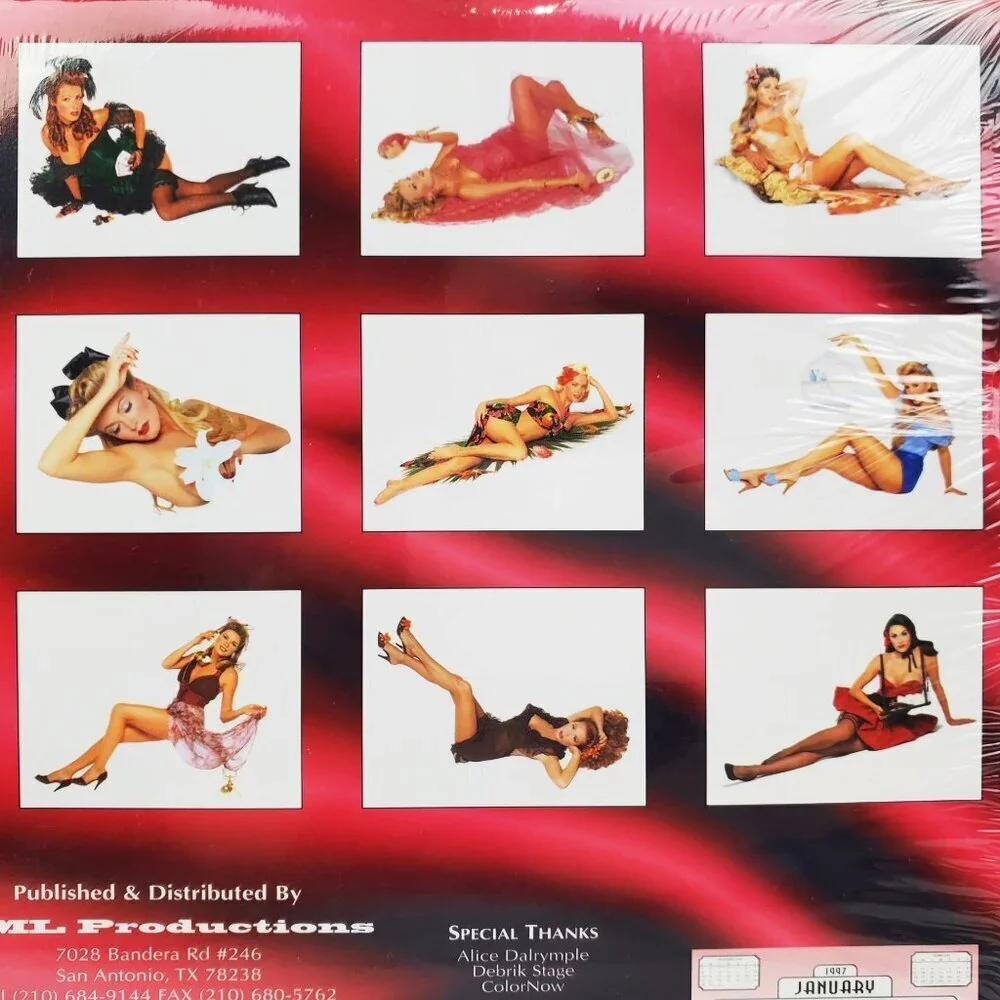 Pin-Up Girls Vintage Calendar 1997 Timeless 16 Month 90s Model Photos Sealed